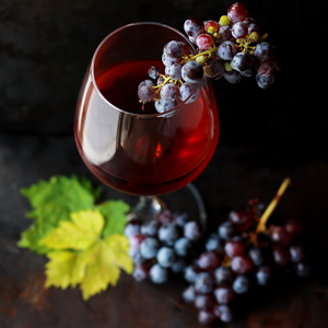 Vitis Nostra Montepulciano